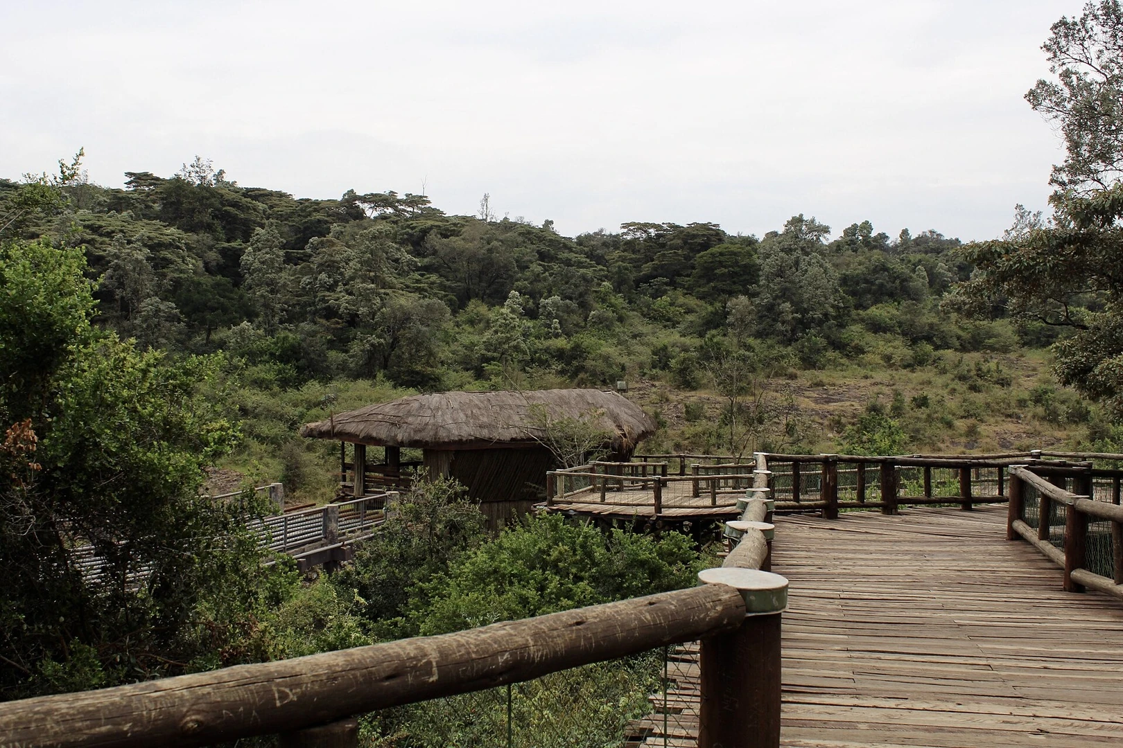 Walking path in Nairobi