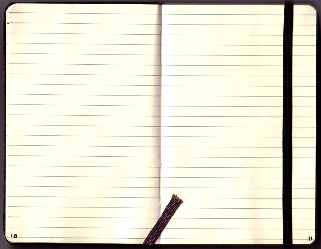Open notebook for symptom notes